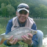 Carp on the fly Carp on the fly